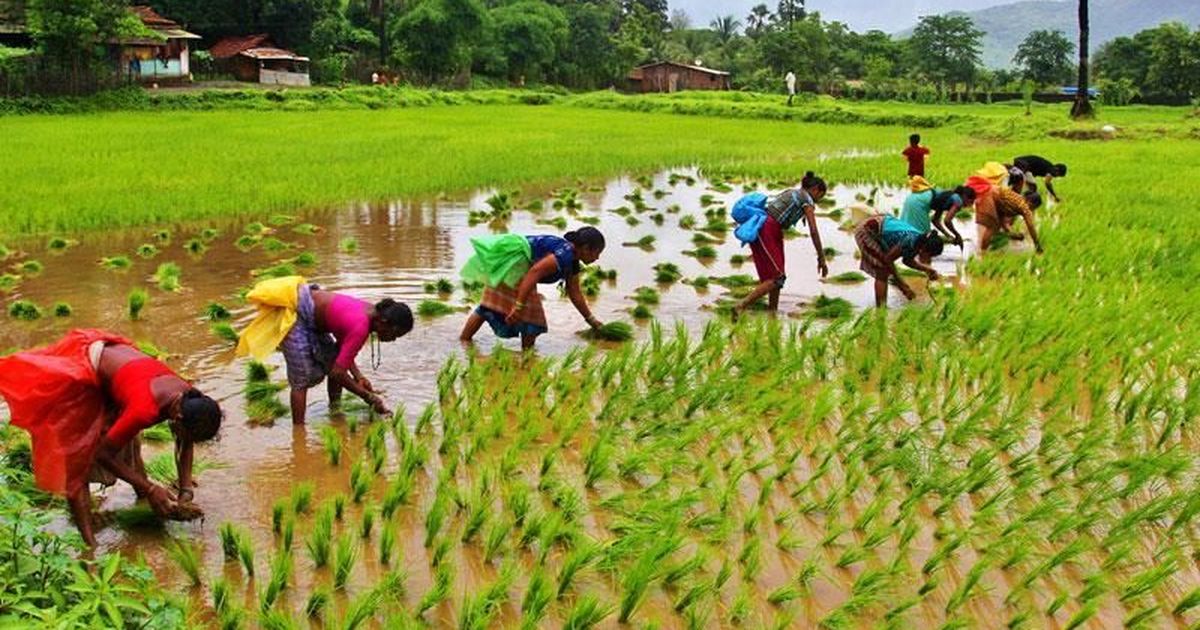 Walmart to invest Rs 180 crore to improve farmers’ livelihood