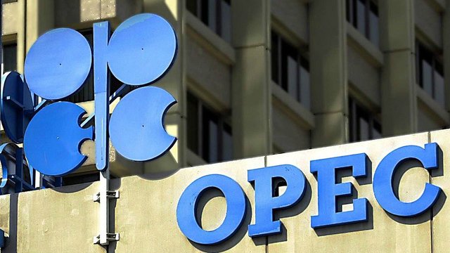 India presses OPEC for responsible pricing of oil