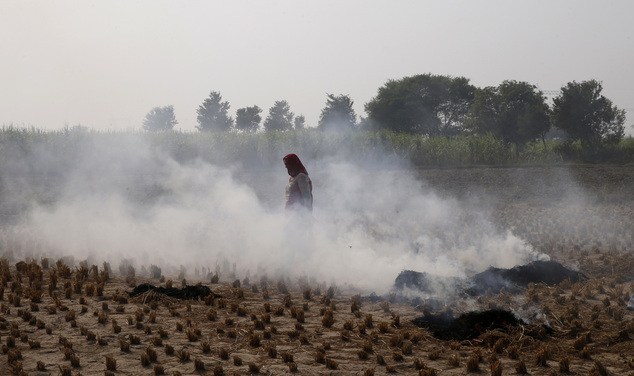 India’s poor on the frontlines of polarizing pollution war