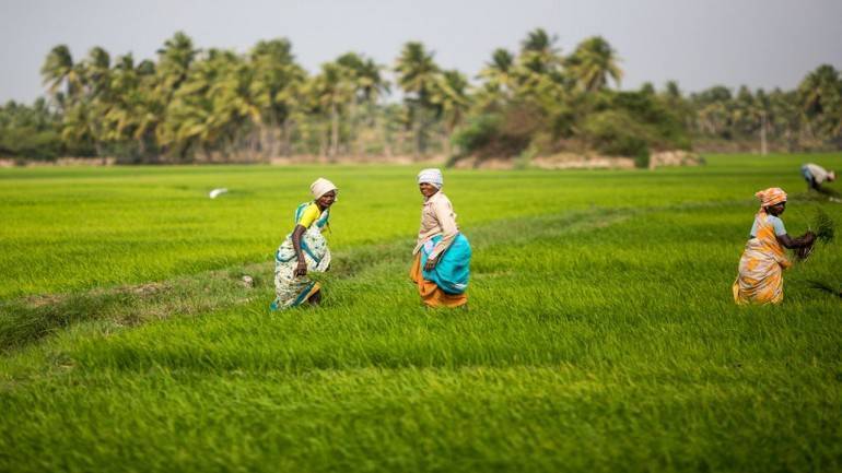 Digital platform helps Maharashtra save Rs 12,000 crore in farm loan waiver