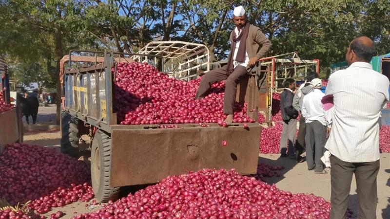 India decides to lift ban on onion exports