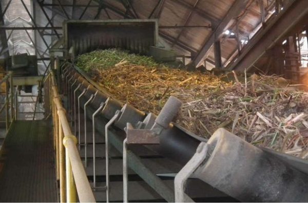 Sugar production rises sharply to 14.1 lakh tonne till November 15
