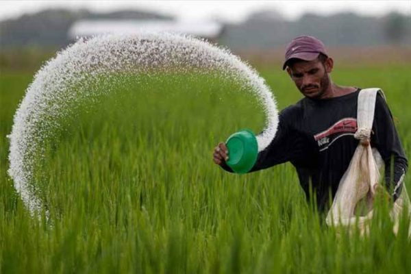 India announces Rs 65,000-crore fertiliser subsidy for farmers