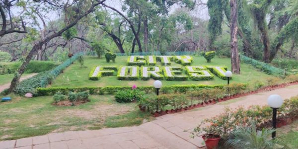 Revamp forest department in Delhi: NGT