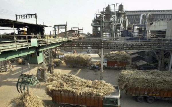 Sugar production rises over 61 percent to 73.77 lakh tonne till December 15