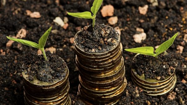 Nova Benefits raises USD 1 million seed funding
