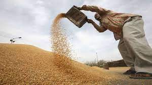 Wheat procurement in Punjab to begin from April 10