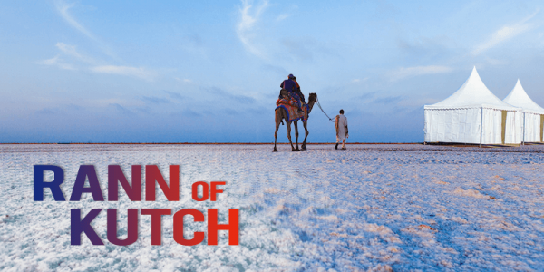 NTPC to set up India’s single largest solar park at Rann of Kutch