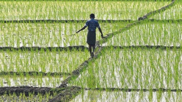 Modi government could withdraw new farm laws considering upcoming Uttar Pradesh polls: BJP leader