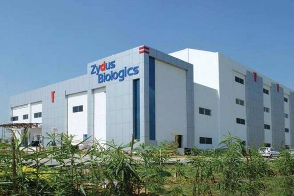 Zydus Cadila posts consolidated revenues of Rs. 3785 crore in Q2