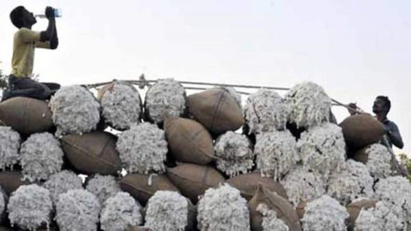 India’s finance ministry waives customs duty on cotton imports till September 30